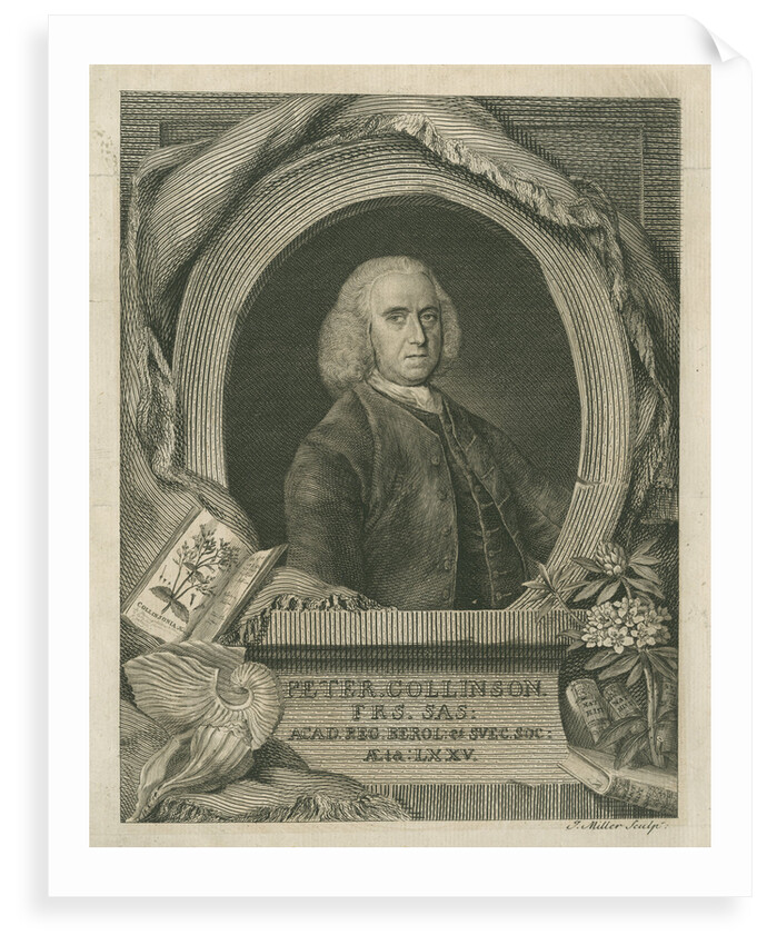 Portrait of Peter Collinson (1694-1768) by J Miller