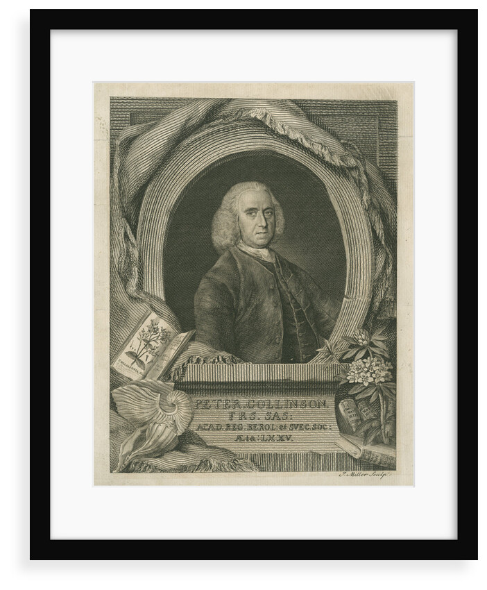 Portrait of Peter Collinson (1694-1768) by J Miller