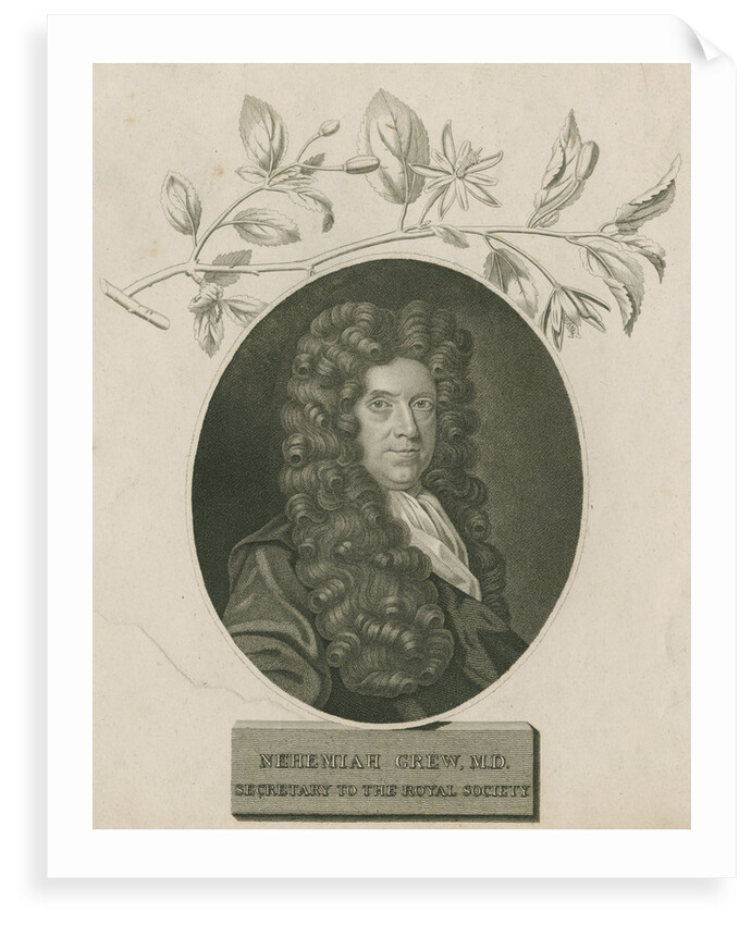 Portrait of Nehemiah Grew (1641-1712) by James Newton