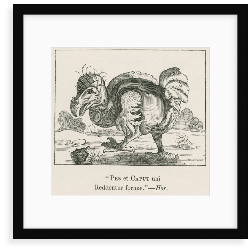 Figure of the Dodo by Anonymous