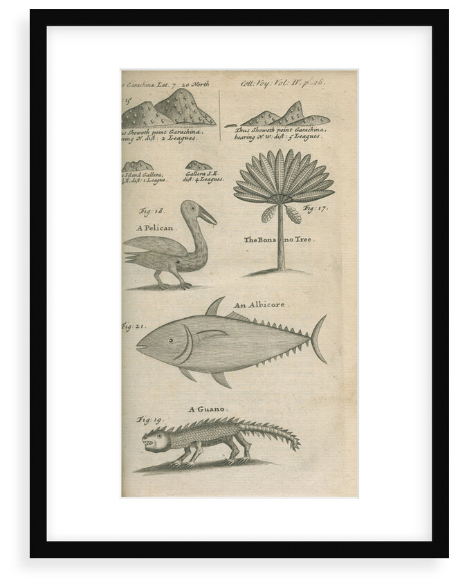 Landmarks and wildlife of Panama, observed by William Funnell by Anonymous