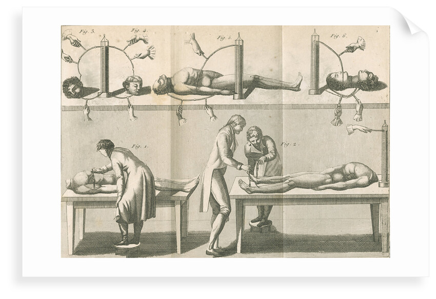 Aldini's galvanic experiments by G.M.