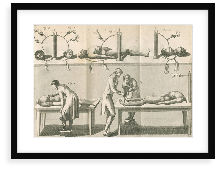 Aldini's galvanic experiments by G.M.