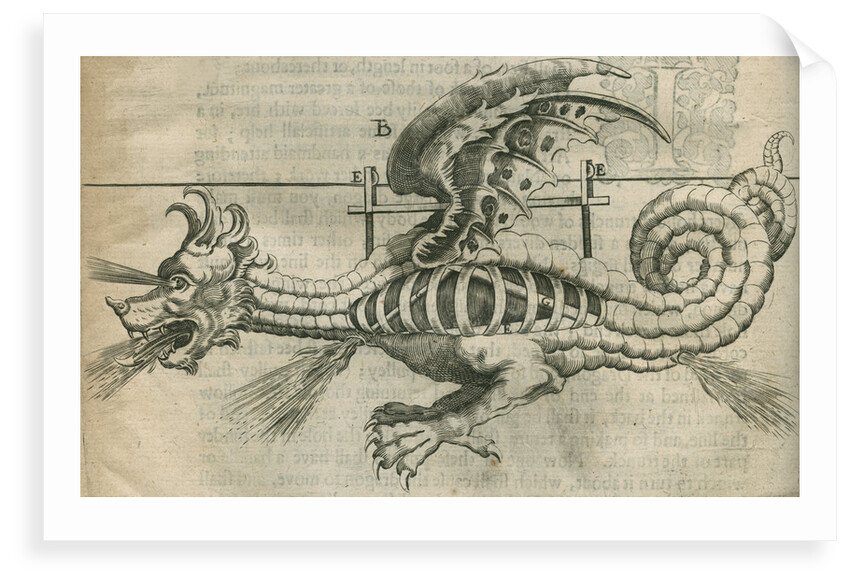 Dragon firework display by Anonymous