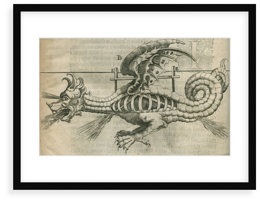 Dragon firework display by Anonymous