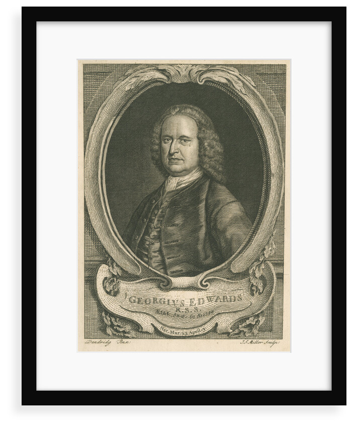 Portrait of George Edwards (1694-1773) by Johann Sebastian Müller