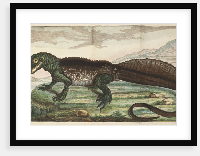 Sailfin lizard by Simon Fokke