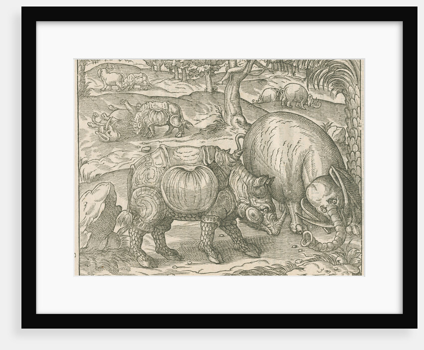 'Figure du combat du Rhinoceros contre l'Elephant' by unknown