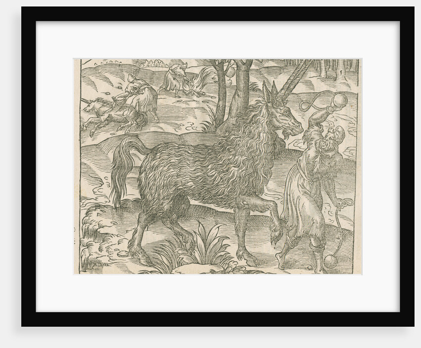 'Figure du Pirassoipi, espece de Licorne d'Italie' by Anonymous