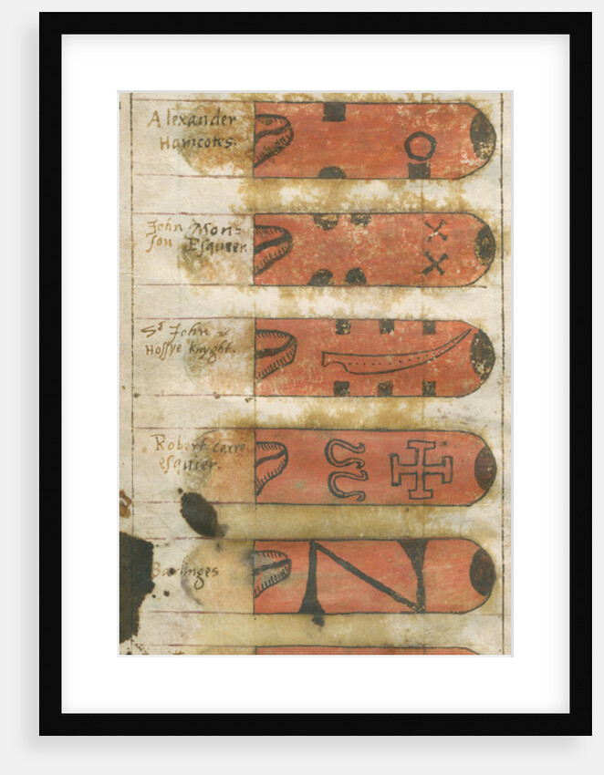 Swan marks of Lincolnshire by Anonymous