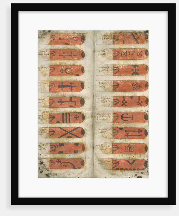 Swan marks of Lincolnshire by Anonymous