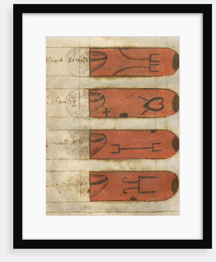 Swan marks of Lincolnshire by Anonymous