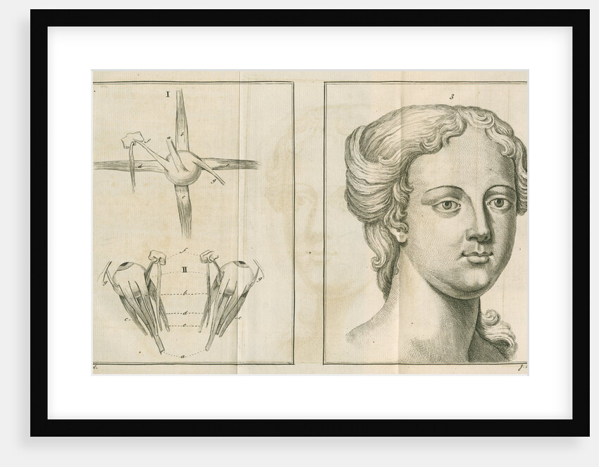 'The back view of the eye & the countenance in easy composure' by James Mynde