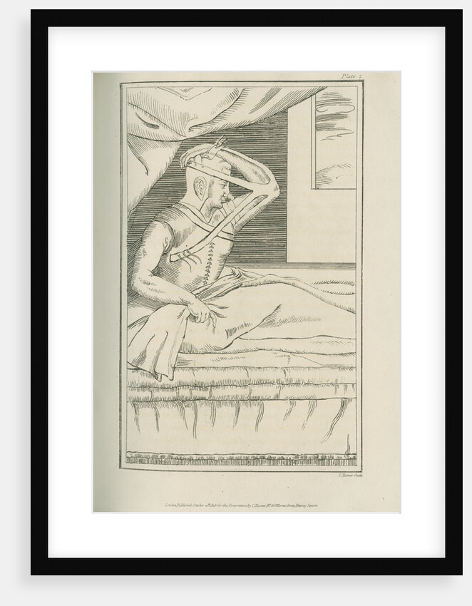 The Italian method of nose replacement by Charles Turner