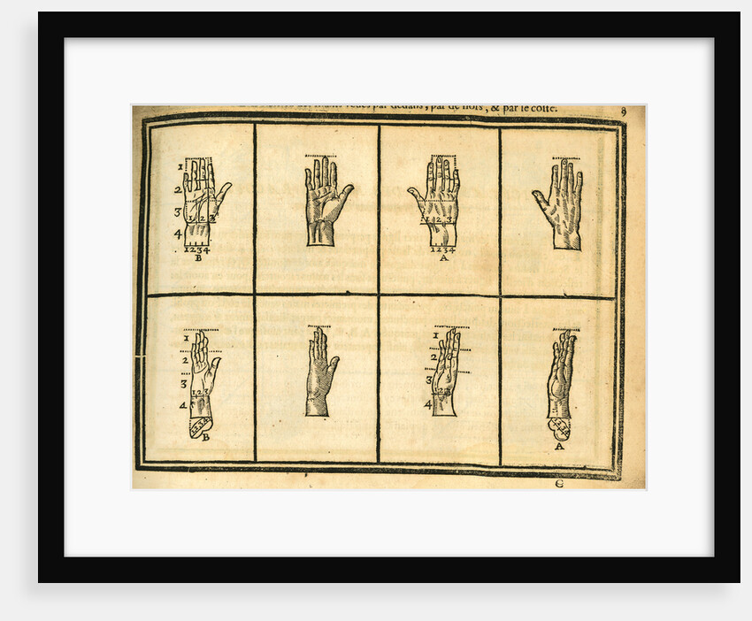 Proportions of the hand by unknown