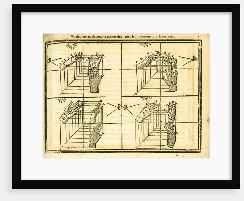 Movement and perspective of the hand by unknown