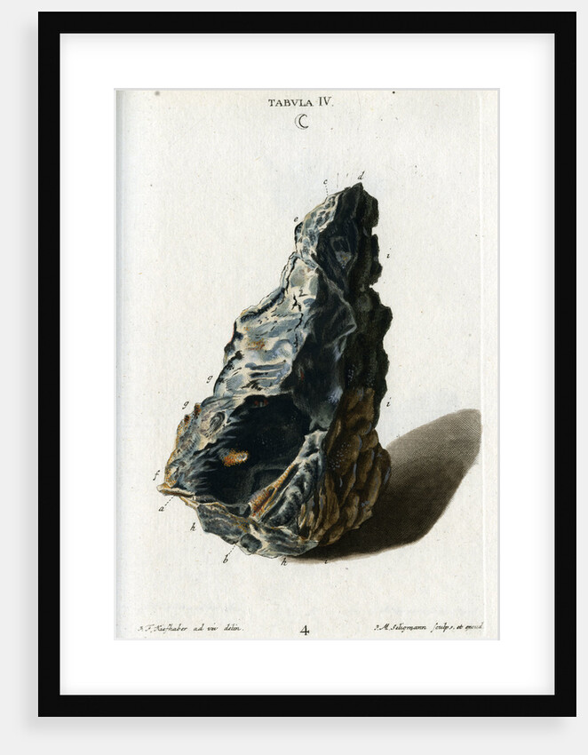 Crude white silver by Johann Michael Seligmann