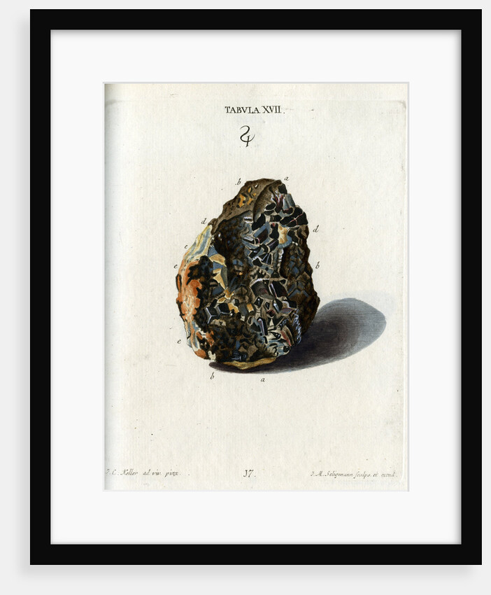 Tin Crystals by Johann Michael Seligmann