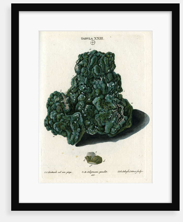 Crystalline Green Copper by Johann Sebastian Leitner
