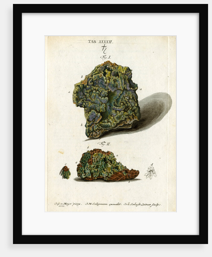 Green mineral of lead by Johann Sebastian Leitner