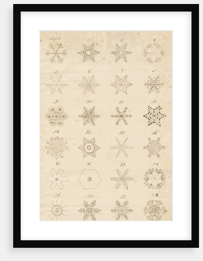 Snowflakes by Leonard Stocke