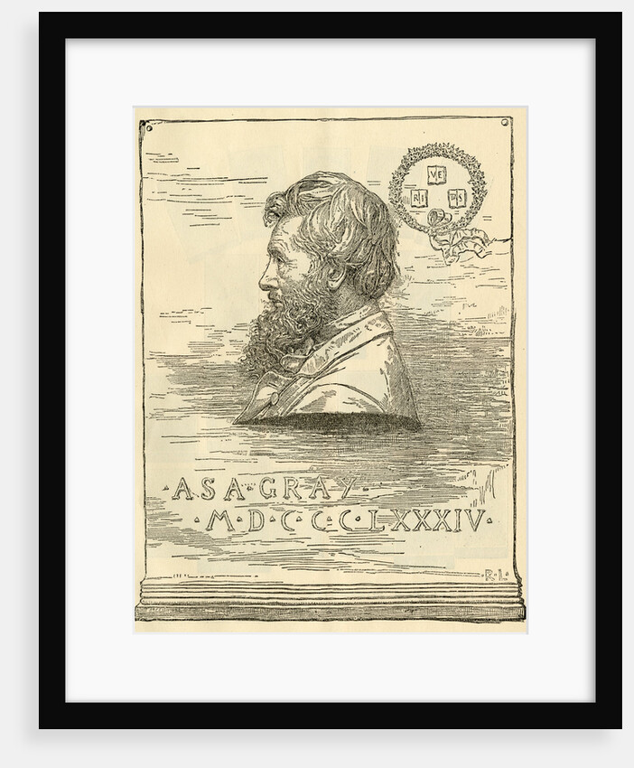 Portrait of Asa Gray (1810-1888) by R. L.