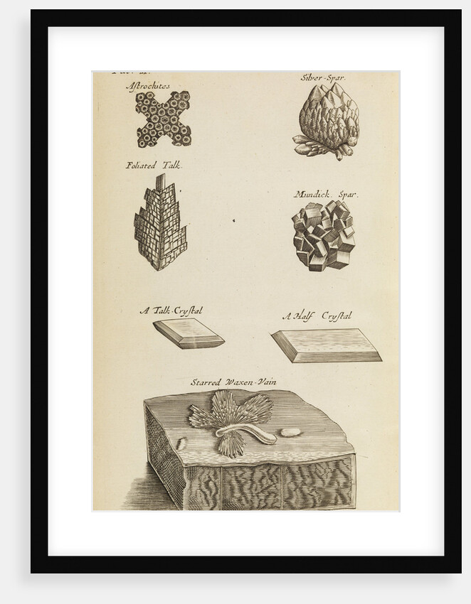 Stones and crystals in the Royal Society's Repository by Anonymous