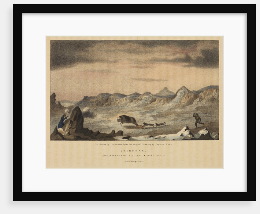 James Clark Ross killing a musk ox by John Brandard