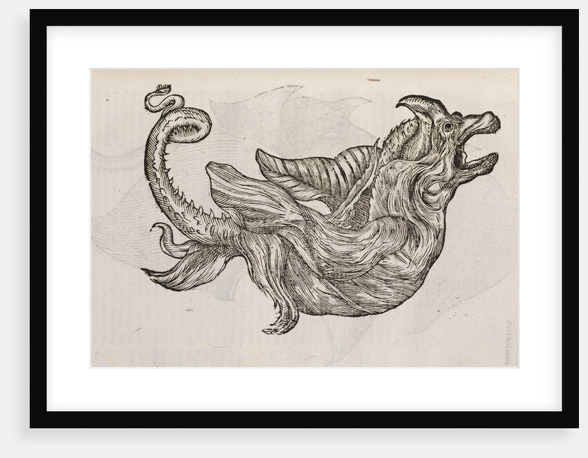 A 'dragon' made from fish parts by unknown