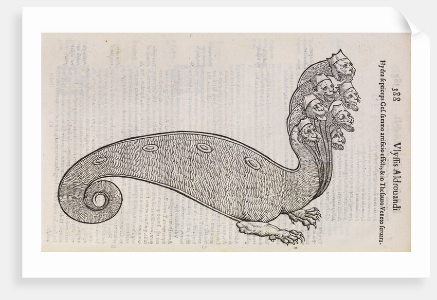 A 'hydra' by unknown