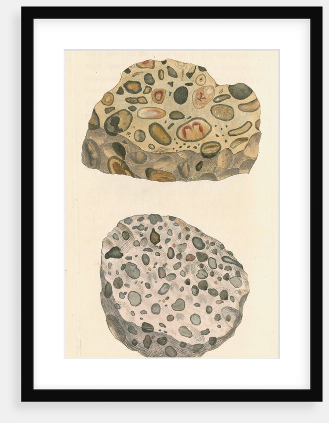 'Silex quartzum' by James Sowerby