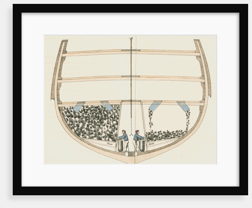 Steamship coaling by Anonymous