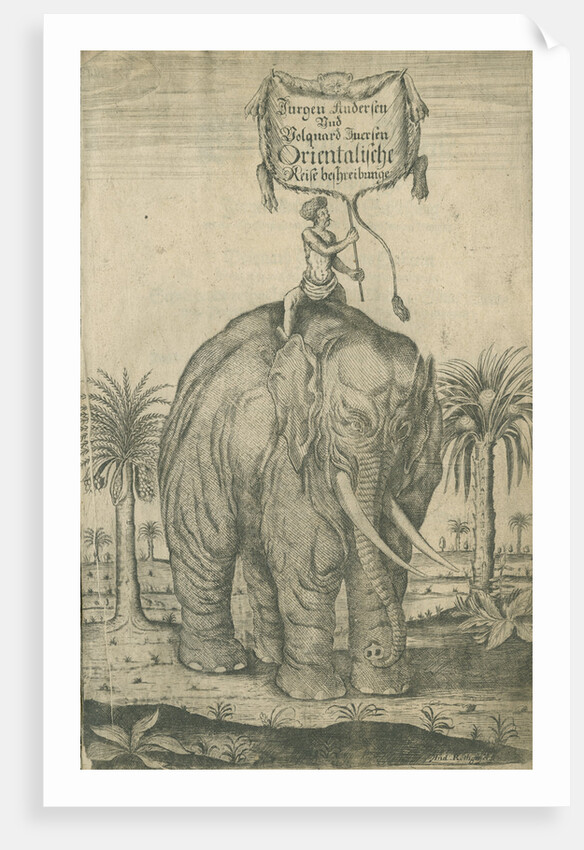 Indian elephant by Andreas Lorenzen Rothgiesser