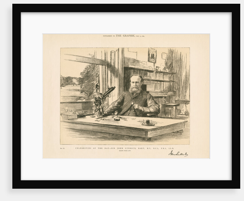 Portrait of John Lubbock, 1st Baron Avebury (1834-1913) by Anonymous