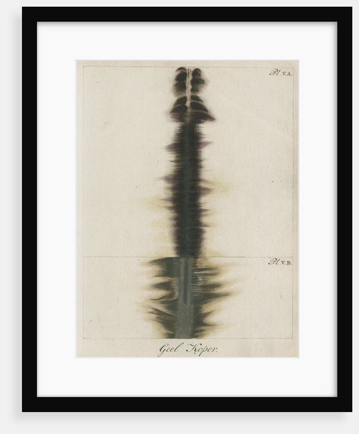 Brass wire explosion pattern by Anonymous