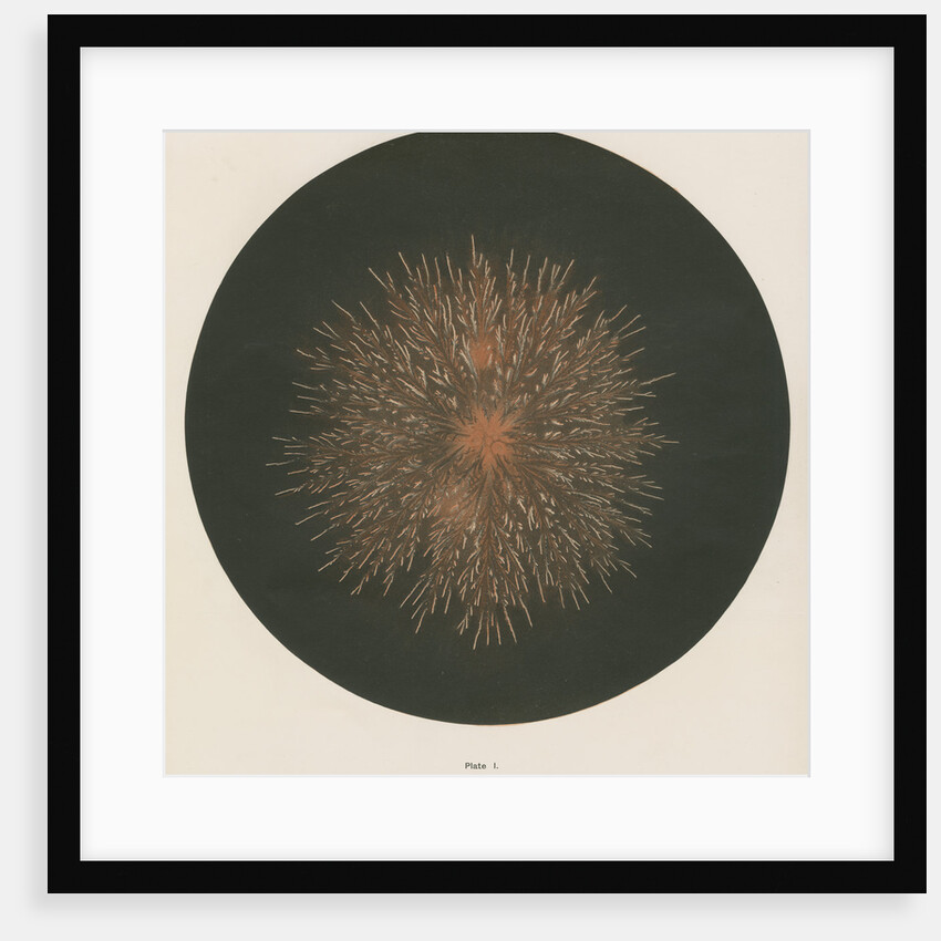 Electrical discharge by The Autotype Company