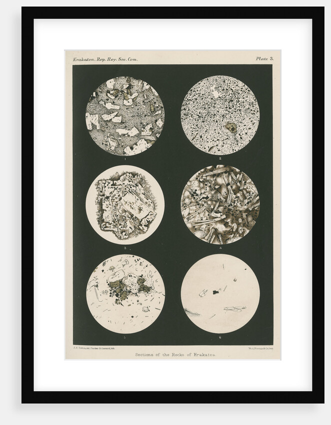 Lavas of Krakatoa by Anonymous