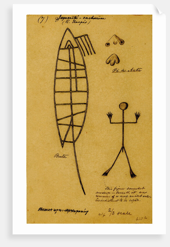 Picture-writing of a dolphin and the feet of tapir by Richard Spruce