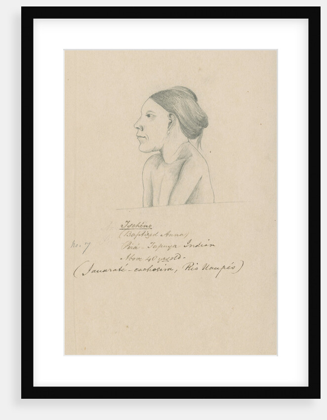 Portrait of Tschéno by Richard Spruce