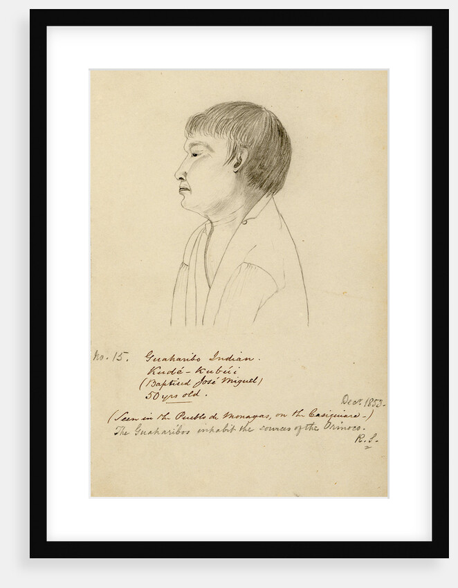 Portrait of Kudé-Kubúi by Richard Spruce