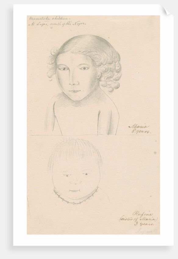 Portraits of Rufina and Maria by Richard Spruce