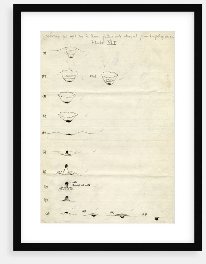 Impact on a liquid by Arthur Mason Worthington