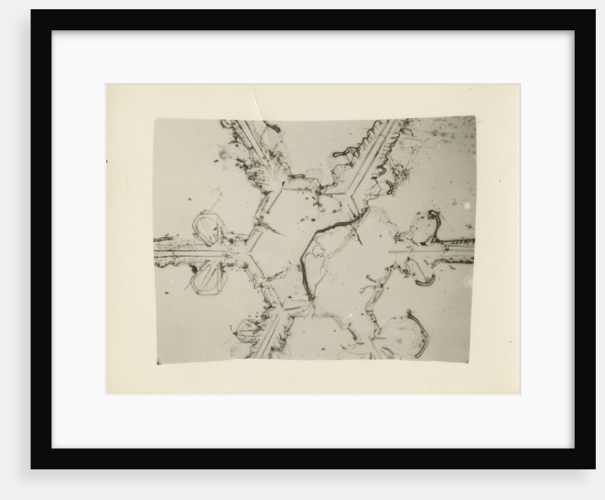 Snow crystal by Unknown