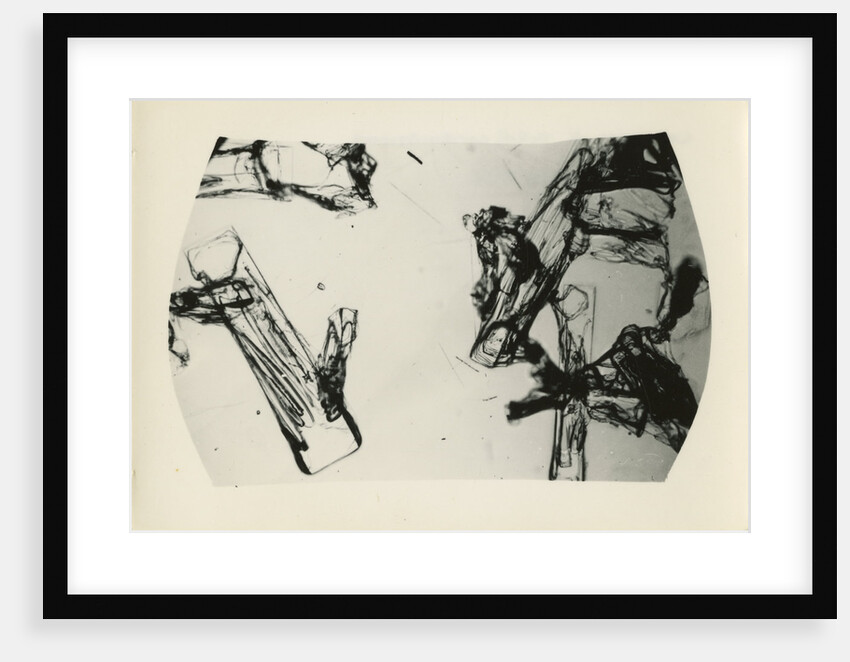 Snow crystal by Unknown