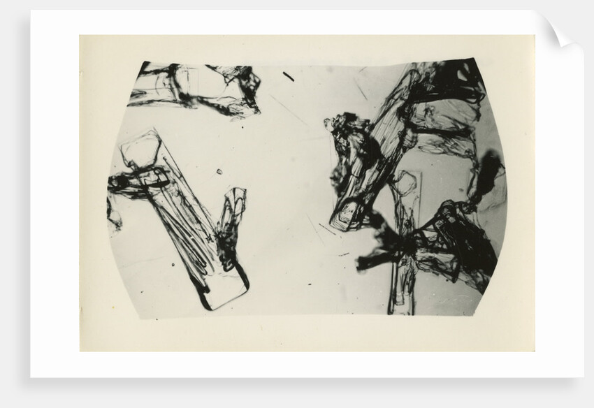 Snow crystal by Unknown