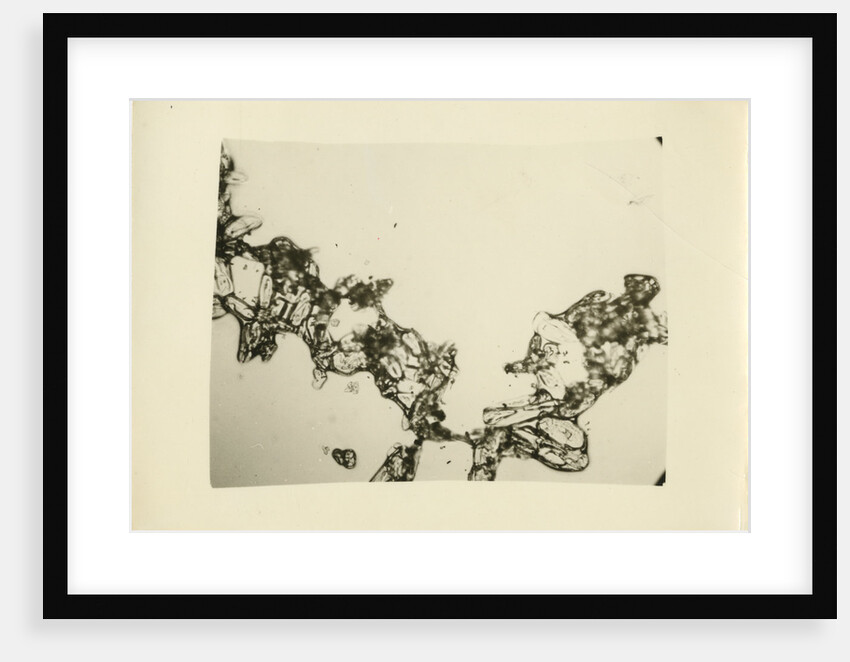 Snow crystal by Unknown