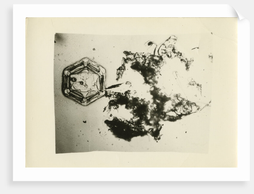 Snow crystal by Unknown