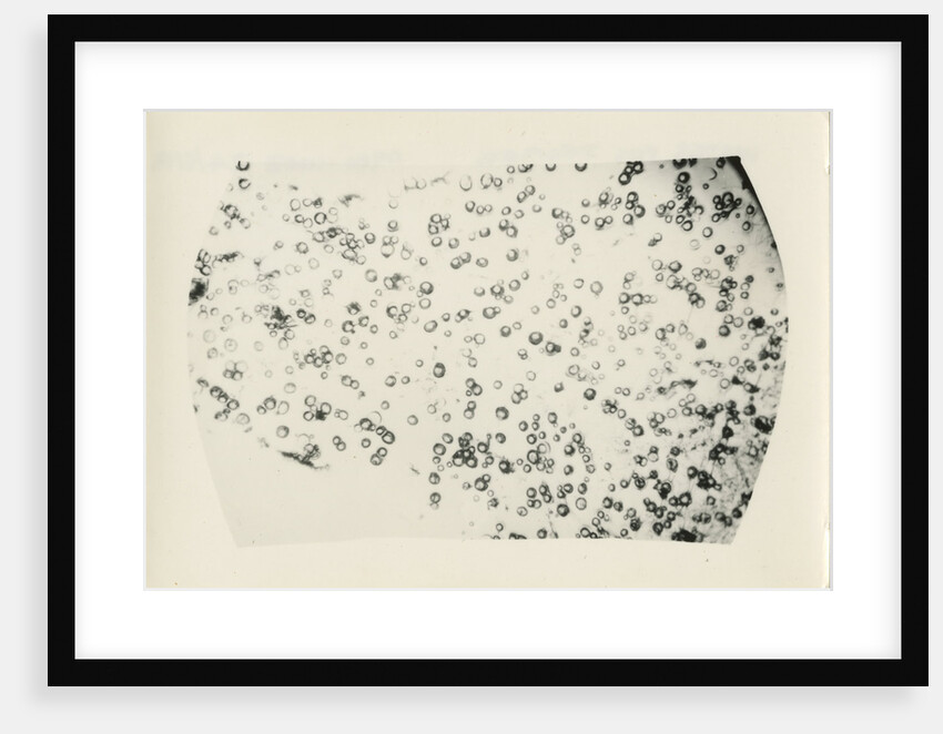 ‘Water fog droplets’ by Unknown