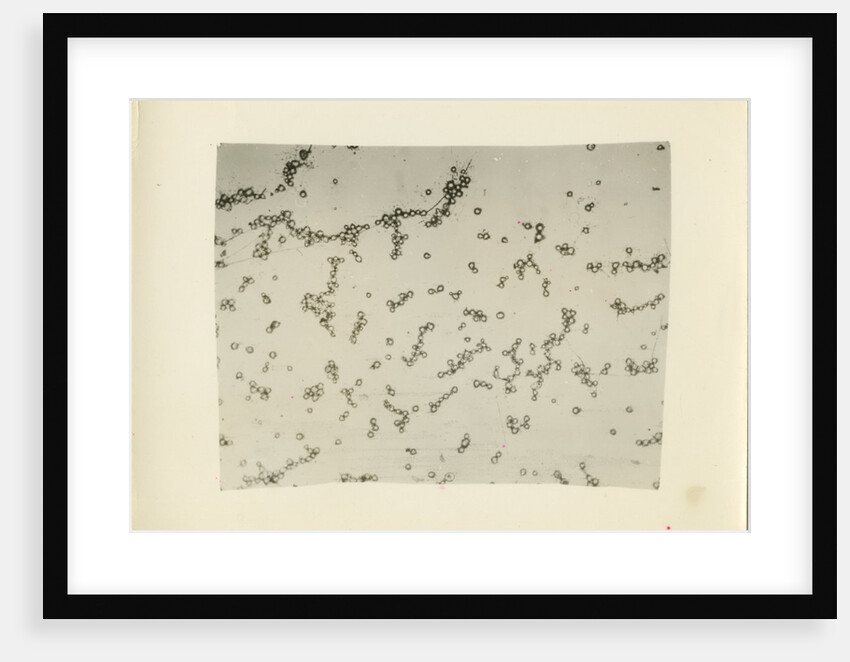 ‘Water fog droplets’ by Unknown