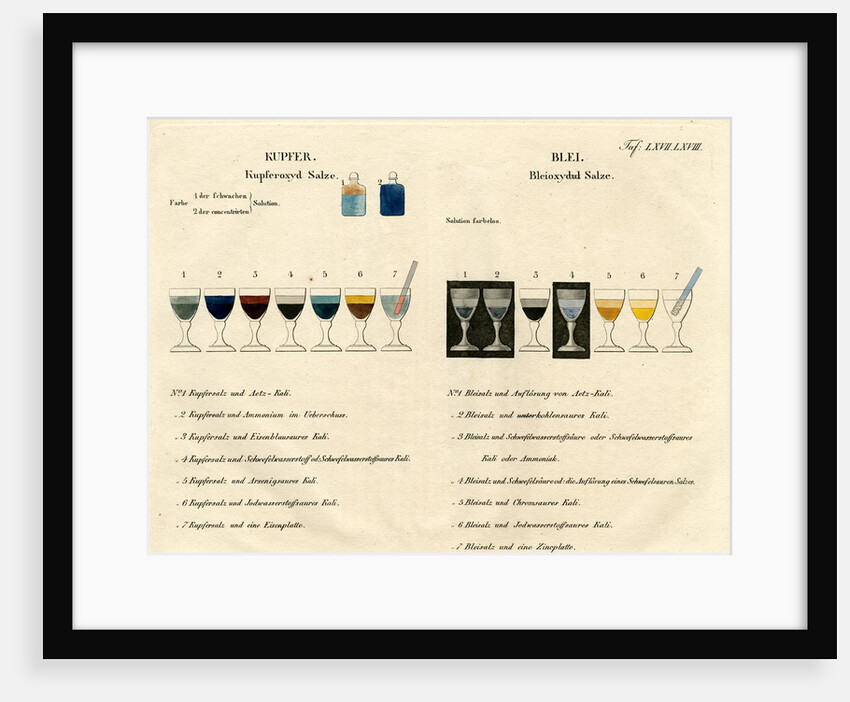 Copper and lead solutions by Unknown